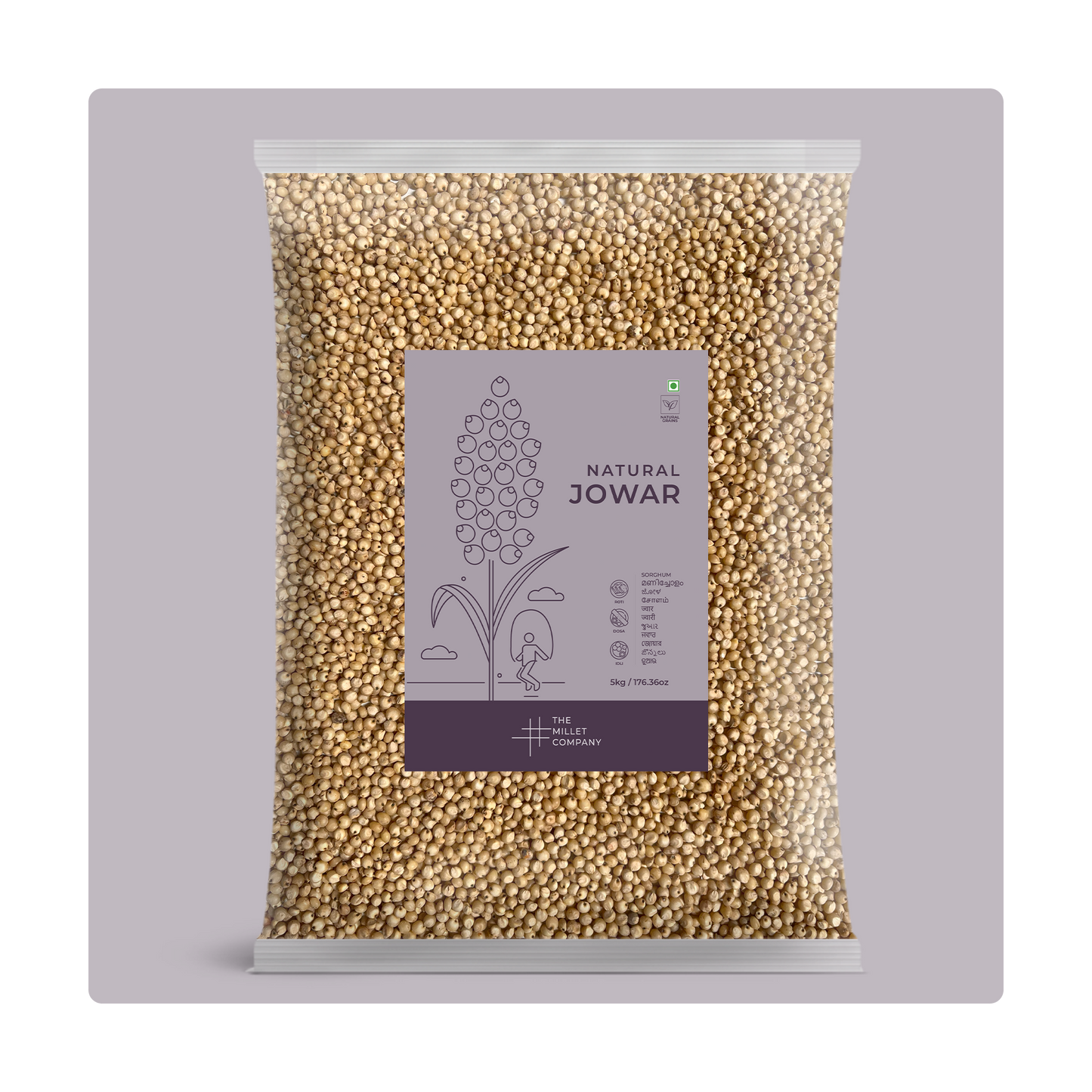 Natural Jowar Grains